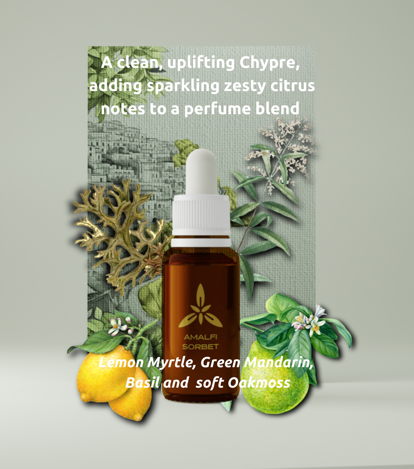 'Zest for Life' Luxury Personal Alchemy Set