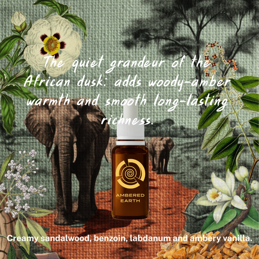 Ambered Earth Fragrance Accord 30ml