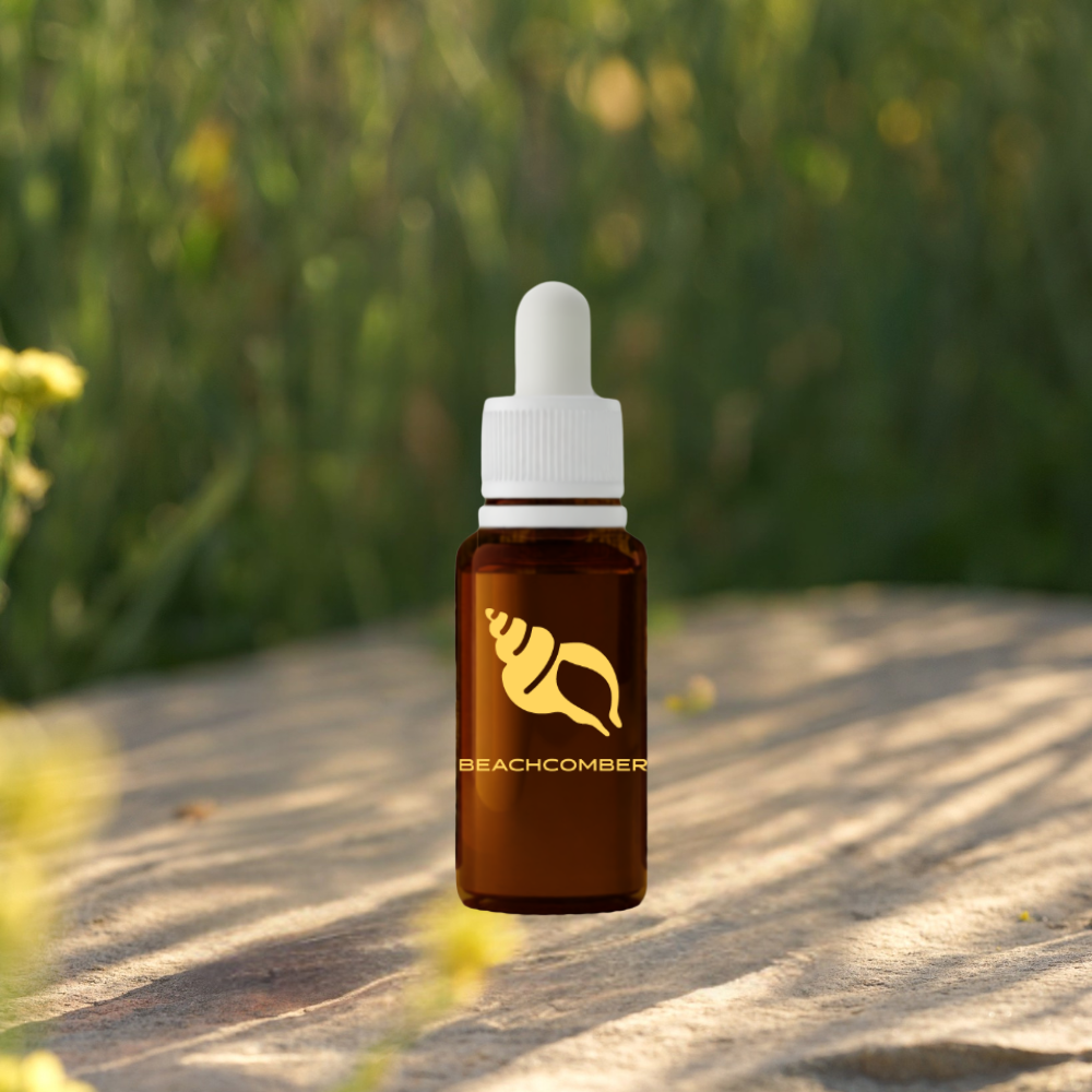 Beachcomber Fragrance Accord 30ml