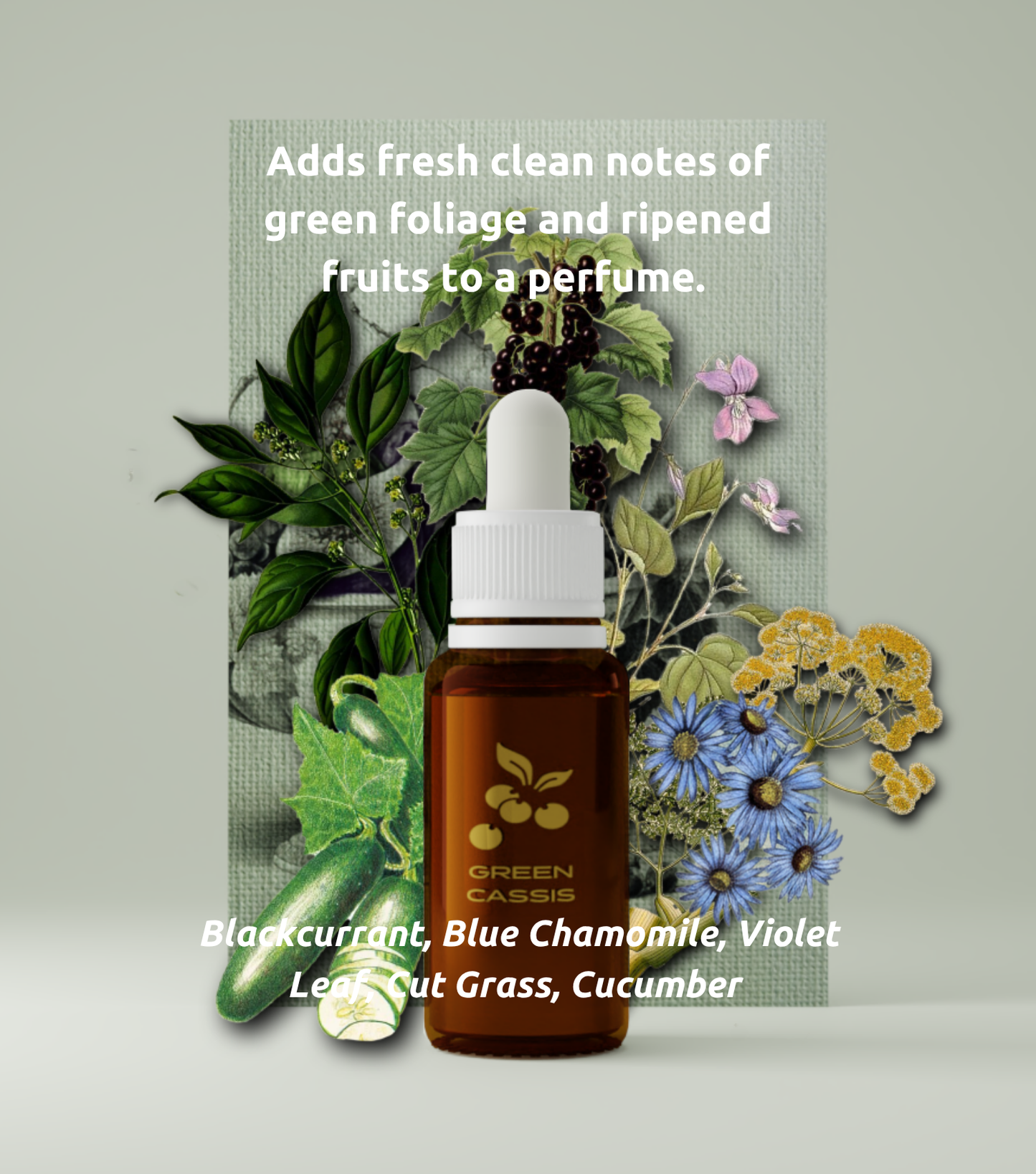 'Zest for Life' Luxury Personal Alchemy Set