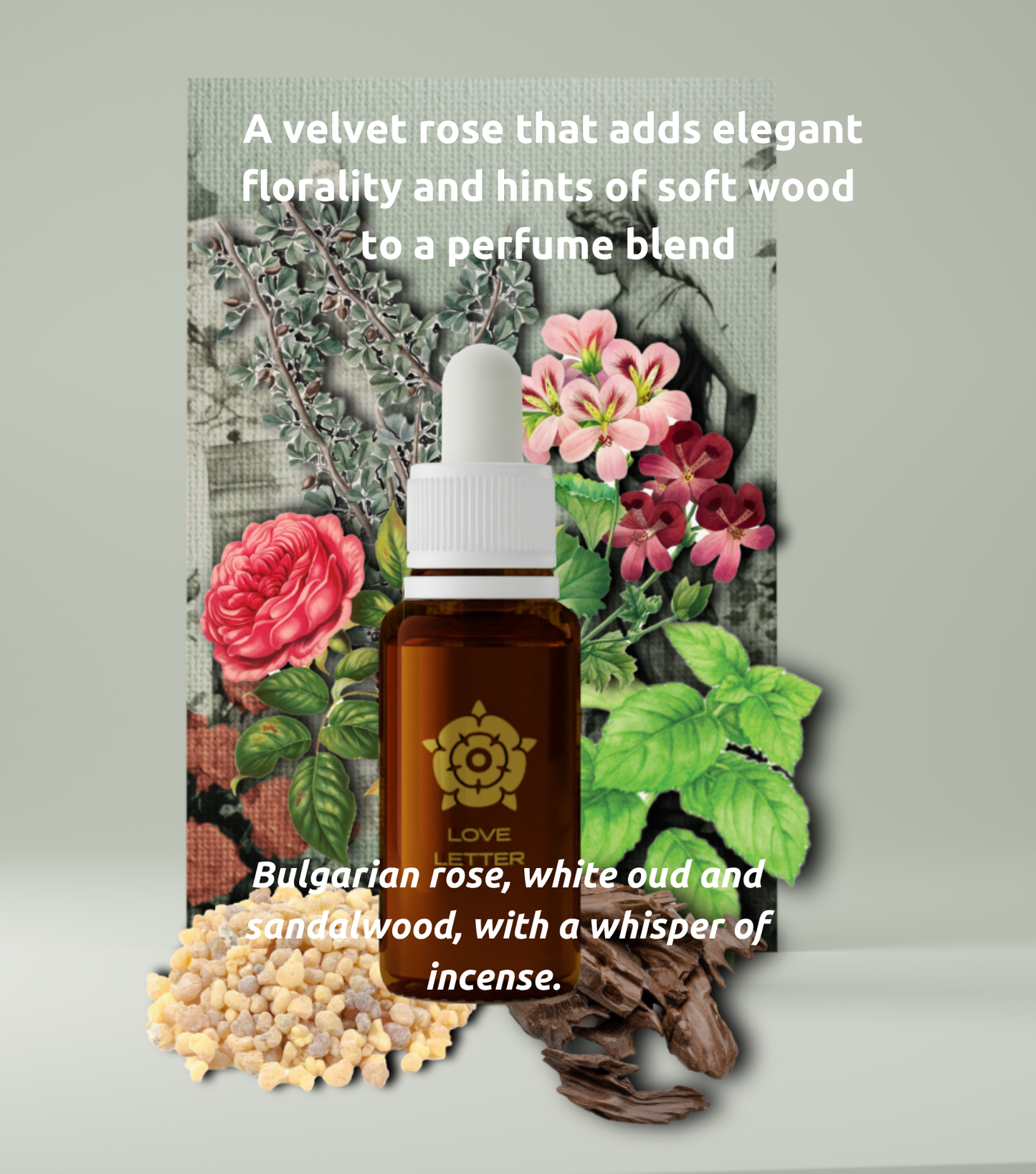 Perfume Mixology Discovery Set