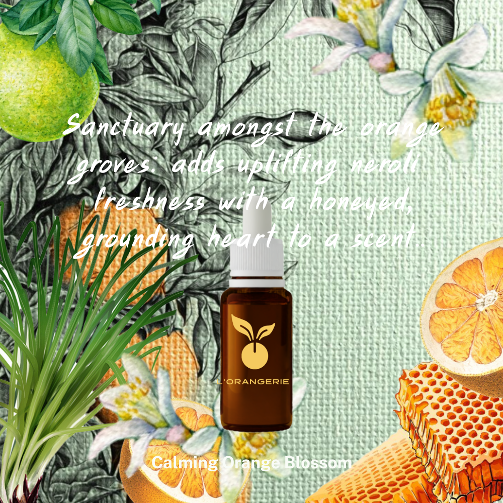 Create Your Own Perfume Blending Set