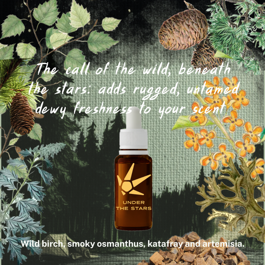 Under The Stars Fragrance Accord 30ml