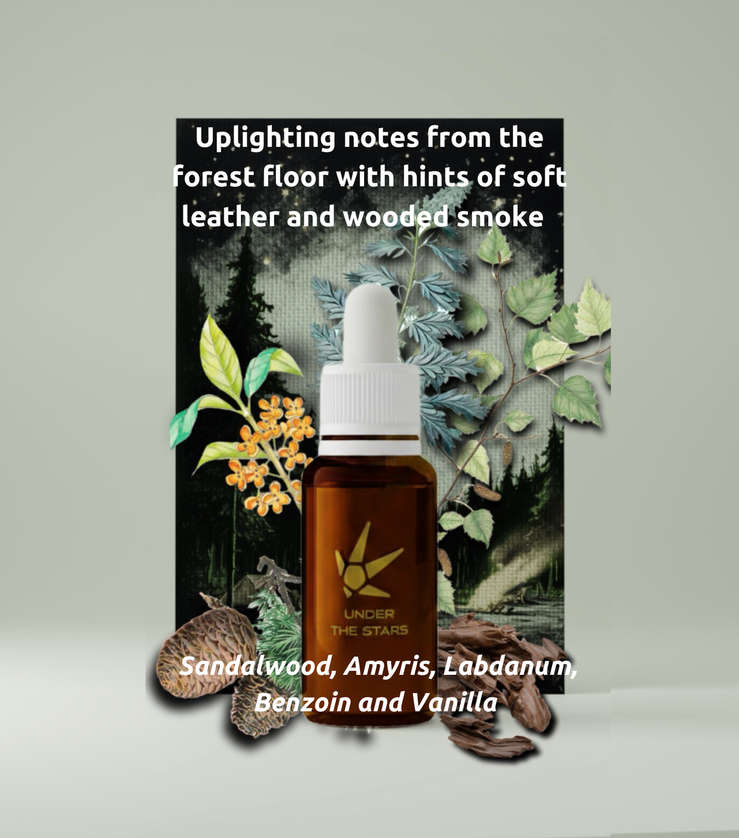 Midnight Alchemist: Luxury Perfume Mixology Set